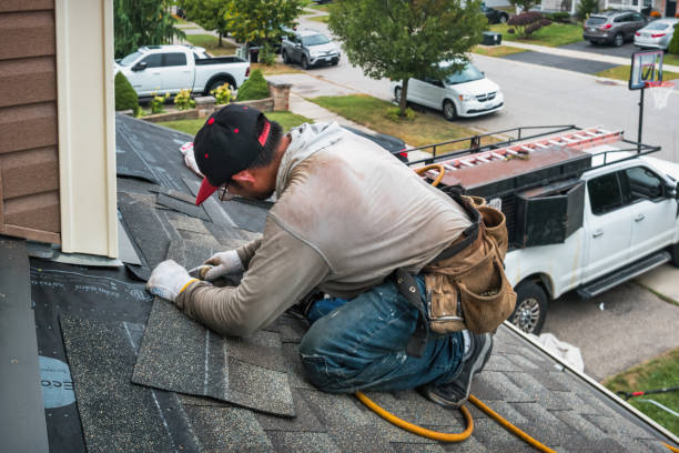 Professional Roof Leak Repair technician working in Downs, IL